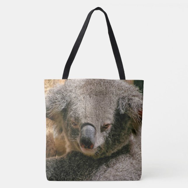 Koala ruht an Baumrinde (Vorderseite)