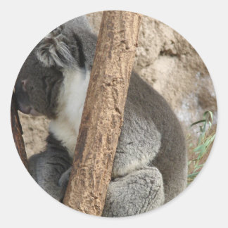 Koala Runder Aufkleber