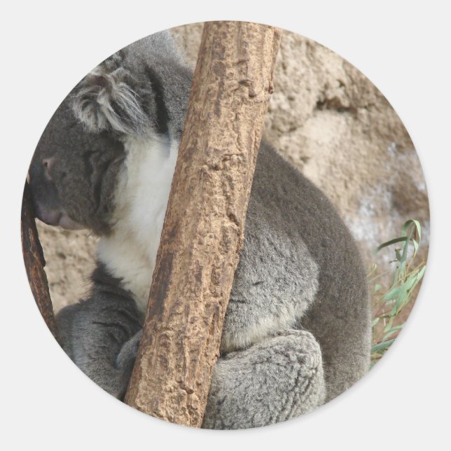 Koala Runder Aufkleber (Vorderseite)