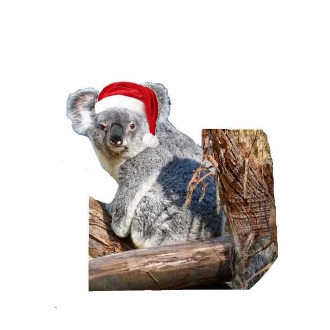 Koala Santa Fotoskulptur Ornament (Vorne)
