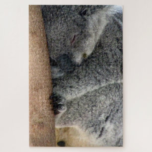 Koala Schlaf Puzzle