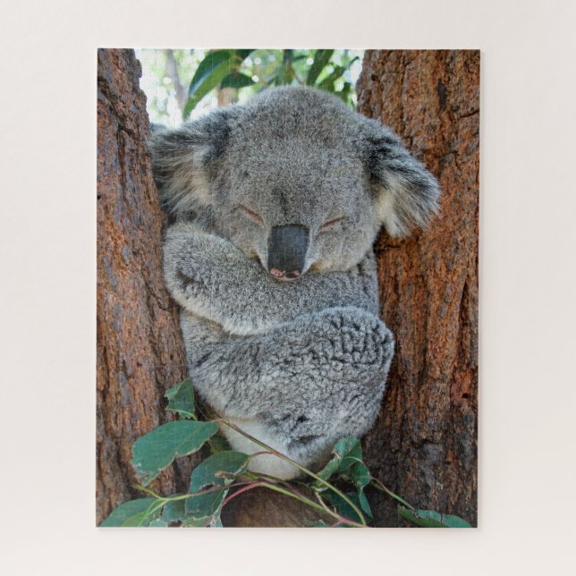Koala schlafen, Jigsaw Puzzle (Vertikal)