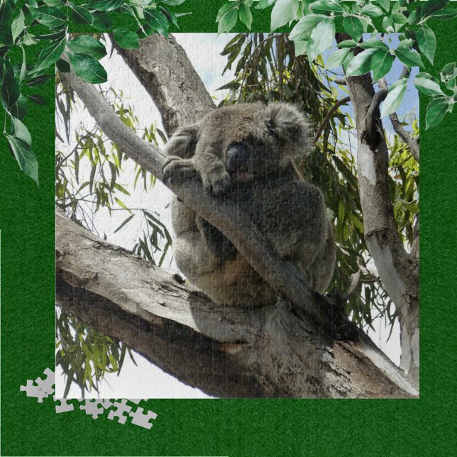 Koala - Schlafen Puzzle (Von Creator hochgeladen)