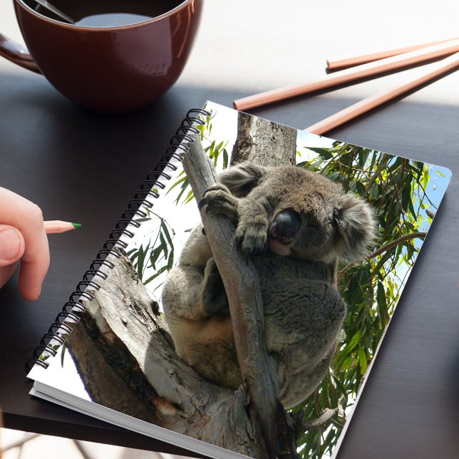 Koala - Schläft Notizblock (Von Creator hochgeladen)