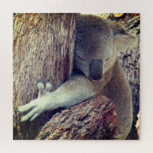 Koala-Schläger Puzzle