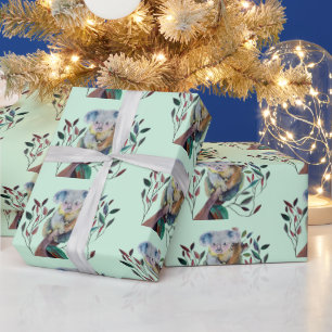 Koala sitzt in einem Kaugummi Geschenkpapier