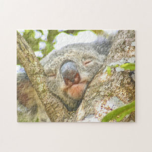 Koala Sleeping Puzzle