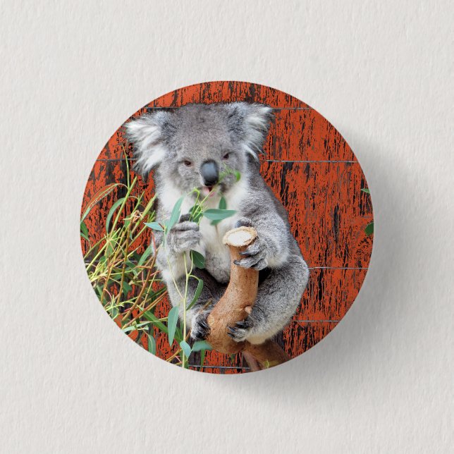 Koala Snack Time Abzeichen Button (Vorderseite)
