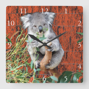Koala Snack Time Clock Quadratische Wanduhr