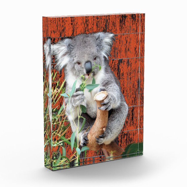 Koala Snack Time Foto Block (Links)