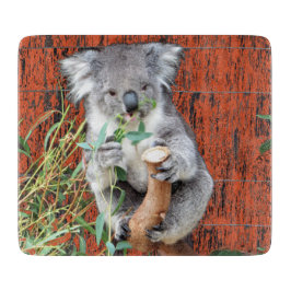 Koala Snack Time Glass Chopping Board Schneidebrett