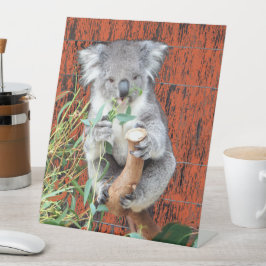 Koala Snack Time Pedestal Sign Sockelschild