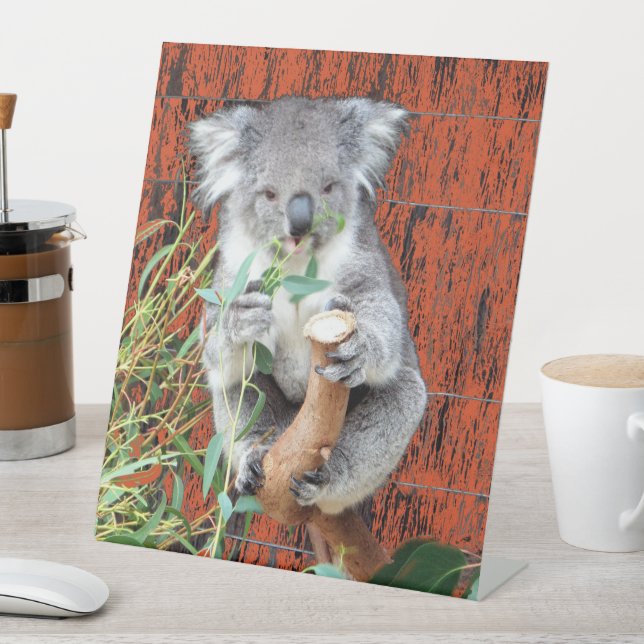 Koala Snack Time Pedestal Sign Sockelschild (In Situ)