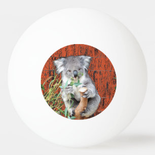 Koala Snack Time Ping Pong Ball Tischtennisball