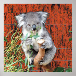 Koala Snack Time Poster