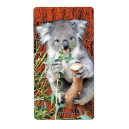 Koala Snack Time Return Address Label