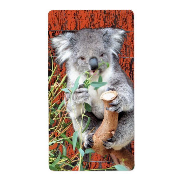 Koala Snack Time Return Address Label (Vorne)