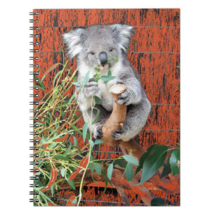 Koala Snack Time Spiral Notebook Notizblock