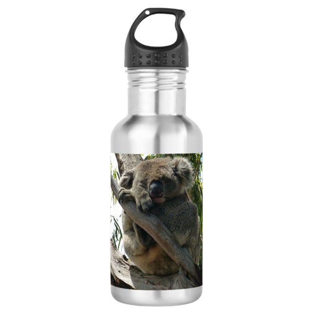 Koala - Spendentags Edelstahlflasche (Vorderseite)