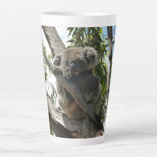 Koala - Spendentags Milchtasse