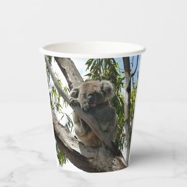 Koala - Spendentags Pappbecher (Vorderseite)