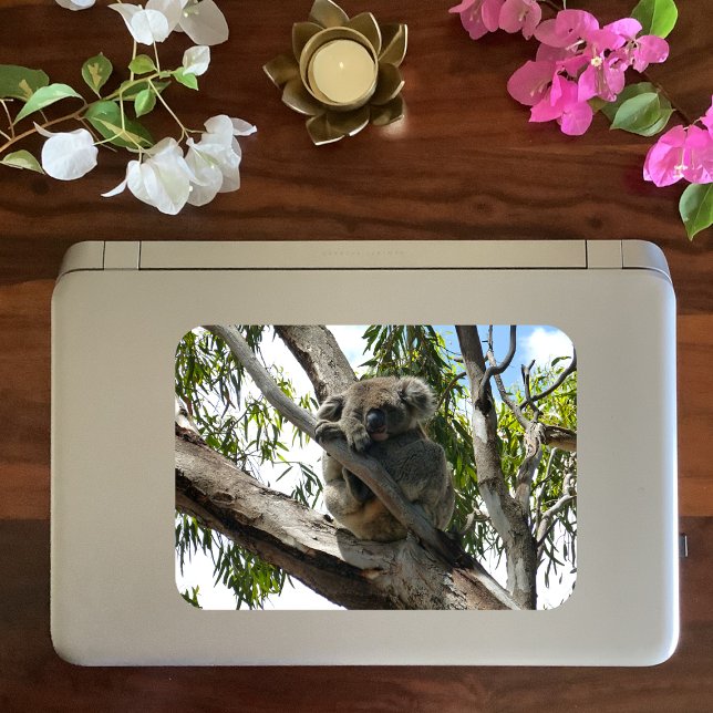 Koala - Spendentags Quadratischer Aufkleber (Von Creator hochgeladen)