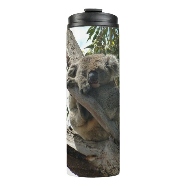 Koala - Spendentags Thermosbecher (Vorderseite)