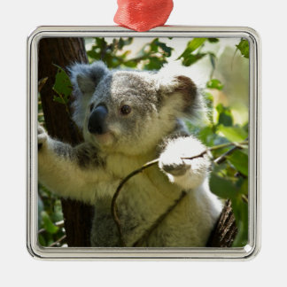 Koala Süsse Ornament Aus Metall