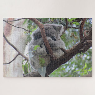 Koala-Süße Puzzle