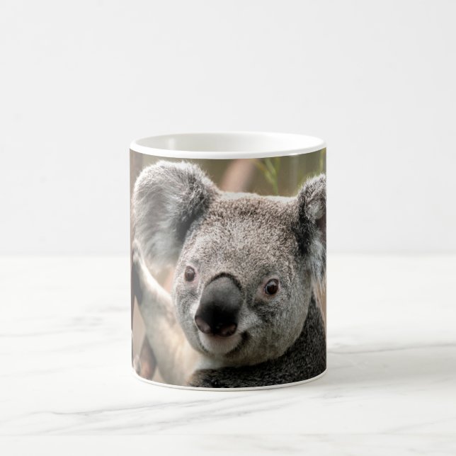 Koala Tasse (Mittel)