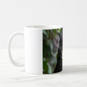 Koala Tasse