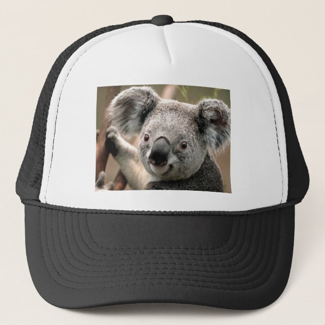 Koala Truckerkappe (Vorderseite)