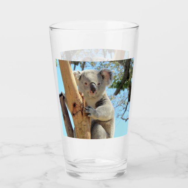 Koala Tumbler/Shaker Glass Glas (Vorderseite)