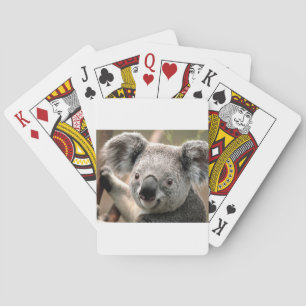 Koala un animal unico spielkarten