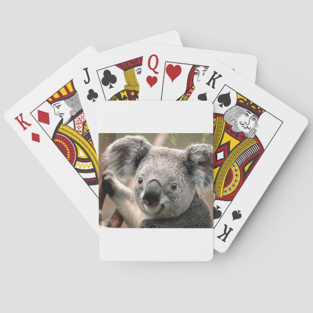 Koala un animal unico spielkarten (Rückseite)