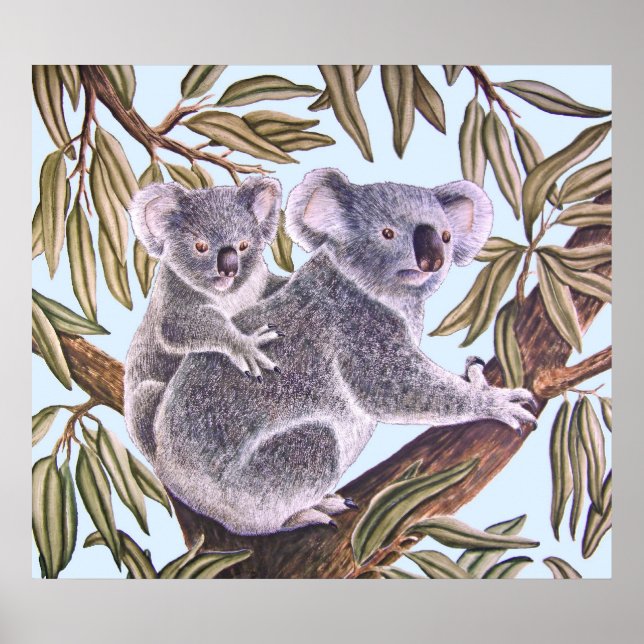Koala und Baby in Eukalyptus Tree Poster (Vorne)