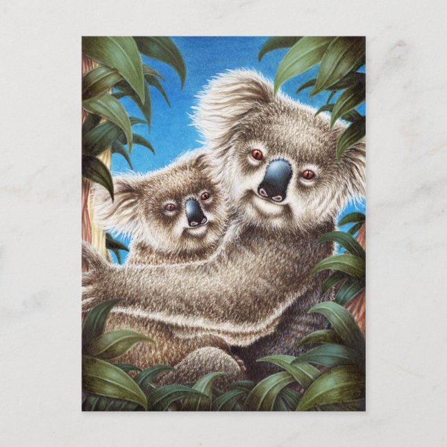 Koala und Baby Postcard Postkarte (Vorderseite)