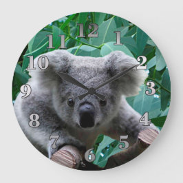 Koala und Eukalyptus Große Wanduhr