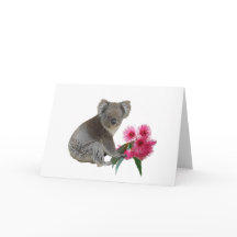 Koala und Eukalyptus