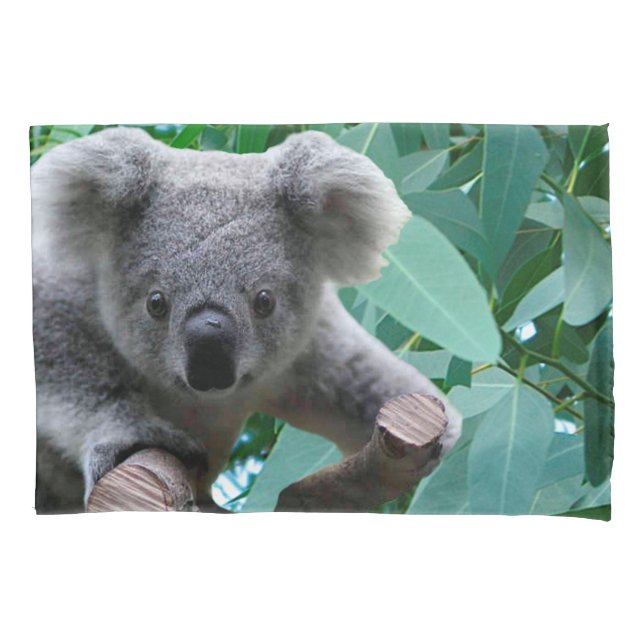 Koala und Eukalyptus Kissenbezug (Vorderseite)