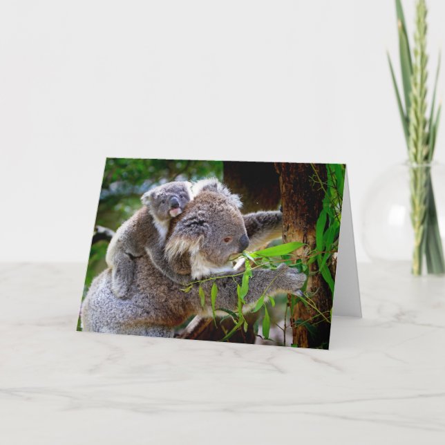Koala und Joey Mothers Day Card Karte (Vorderseite)