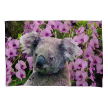 Koala und Orchideen