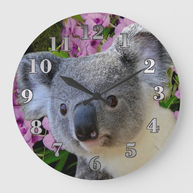 Koala und Orchids Große Wanduhr (Vorderseite)