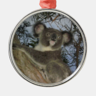 Koala Weihnachtsschmuck