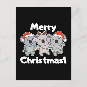 Koala Weihnachtstiere Koalas Frohe Weihnachten