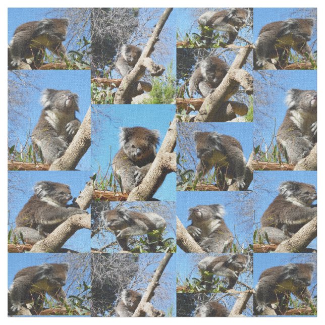"Koala Wonders: Eine herzerwärmende FotoCollage" Stoff (Nahaufnahme)