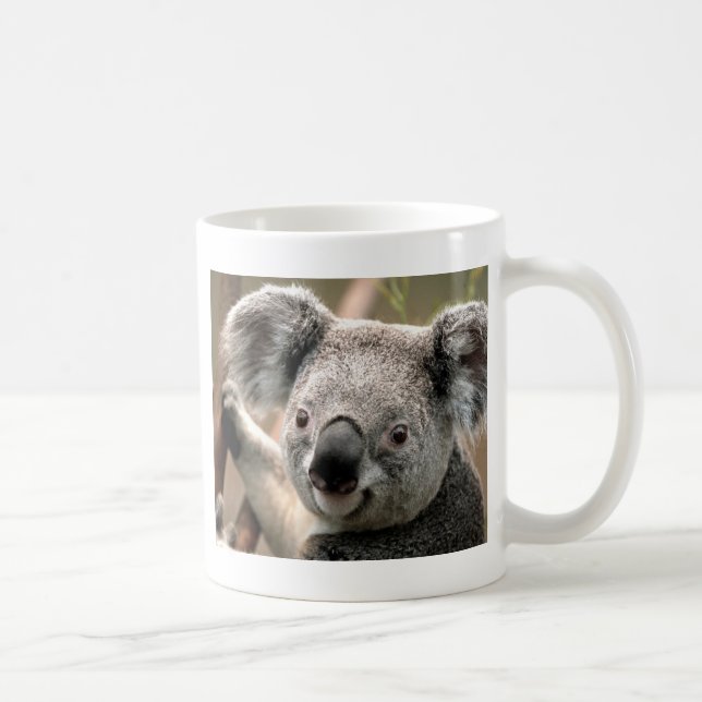 Koalalinie Tasse (Rechts)