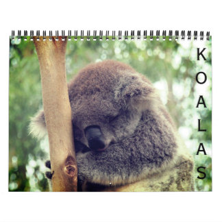 Koalas 2027 kalender