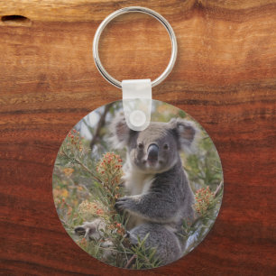"Koalas Haven: In einem Grevillea-Baum verankert Schlüsselanhänger