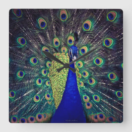 Kobalt Blauer Pfau Quadratische Wanduhr